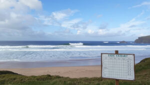 Taylors Mistake Surf Forecast: Swell, Wind & Tide Times